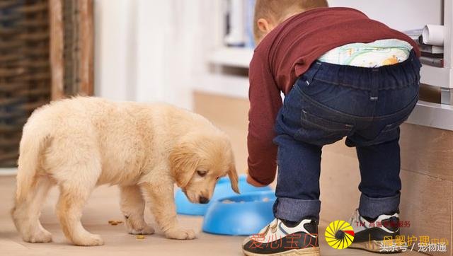 �����｡����5�ֳ���Ӱ�������ʳϰ�ߵ�����