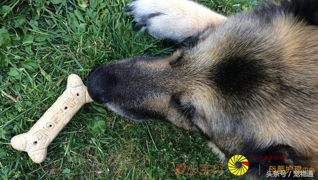 �����｡����5�ֳ���Ӱ�������ʳϰ�ߵ�����