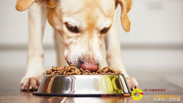 �����｡����5�ֳ���Ӱ�������ʳϰ�ߵ�����