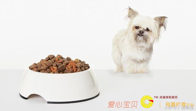 �����｡����5�ֳ���Ӱ�������ʳϰ�ߵ�����