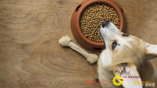 �����｡����5�ֳ���Ӱ�������ʳϰ�ߵ�����