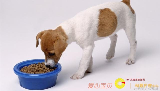 �����｡����5�ֳ���Ӱ�������ʳϰ�ߵ�����