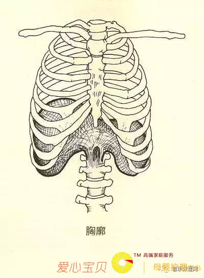 ���ֱ��붮��30������ָ���������ֻ���ѵ����