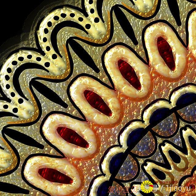 ��ѧ��������������������ԭ����һ����е�