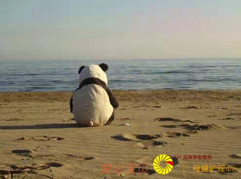 �������ѧ�����������Ҫ��ʲô����ѧ��������˭���ʺ���ѧ