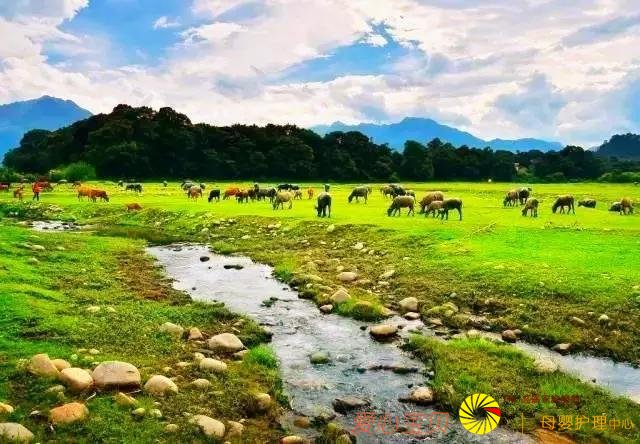 ���аɣ������ȥ���������˱Ƚ��٣�