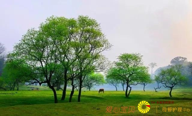 ���аɣ������ȥ���������˱Ƚ��٣�