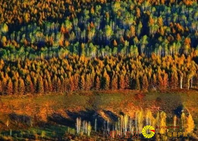 ���аɣ������ȥ���������˱Ƚ��٣�