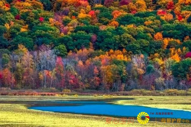 ���аɣ������ȥ���������˱Ƚ��٣�