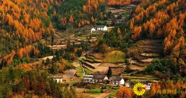 ���аɣ������ȥ���������˱Ƚ��٣�