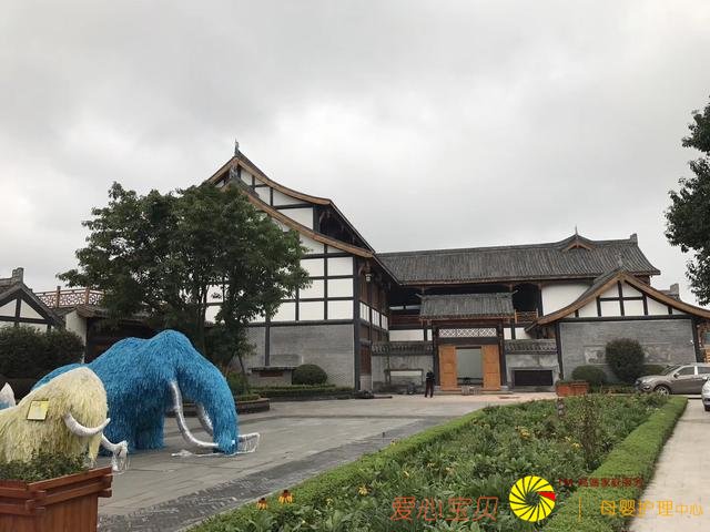 �ҵ�Ͷ�ʹ��£���������