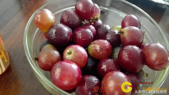 ����34����ĵ����仯�����ϻ�����˵����ͼ�������Ա�