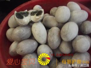 ���ų������㣬��Щ��ʳ�㲻�ܴ���