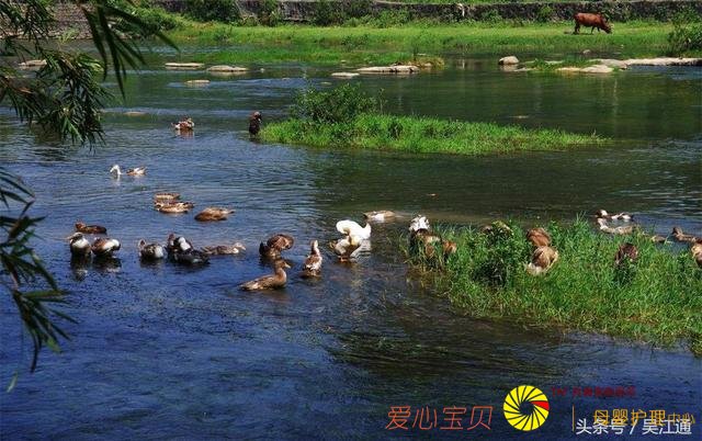 ���ų������㣬��Щ��ʳ�㲻�ܴ���