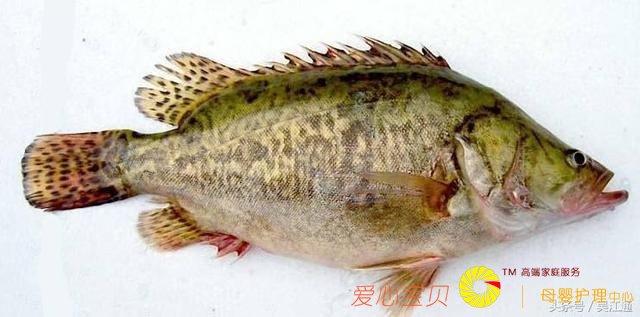 ���ų������㣬��Щ��ʳ�㲻�ܴ���