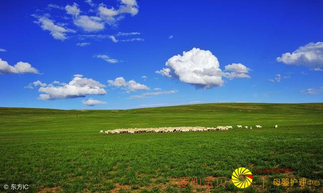 �������С�������Ŀ�ĵ��Ƽ�