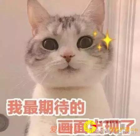 ʮһ�ƽ��ܸ������ι�������