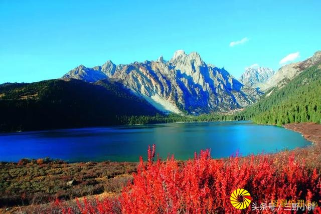 ʮһ�ƽ��ܸ������ι�������