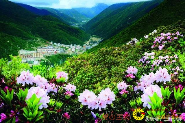 ʮһ�ƽ��ܸ������ι�������