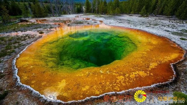 ��ס��ǧ���ȥ������ѧ��