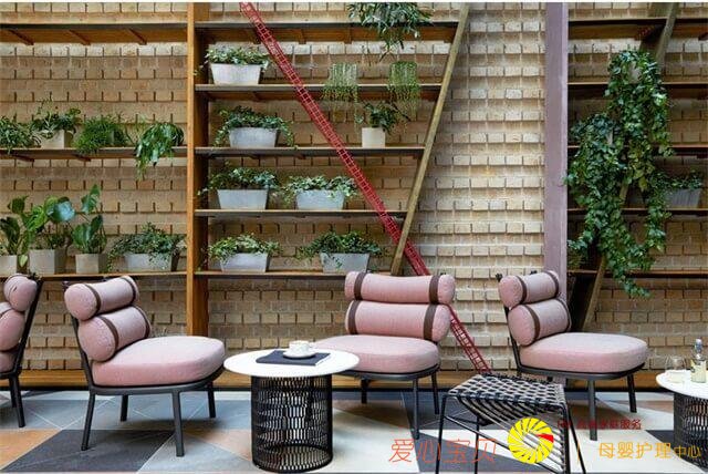 �����ִ���������PURO �Ƶ� ,ɢ��������������Ϣ