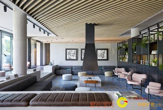 �����ִ���������PURO �Ƶ� ,ɢ��������������Ϣ