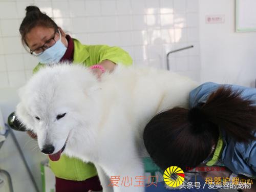 ��������ѧͽ����Ǯ ѧ�������ݵķ���