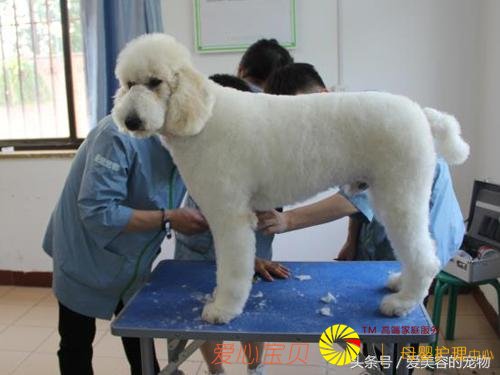 ��������ѧͽ����Ǯ ѧ�������ݵķ���