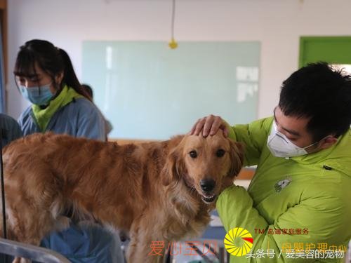 ��������ѧͽ����Ǯ ѧ�������ݵķ���