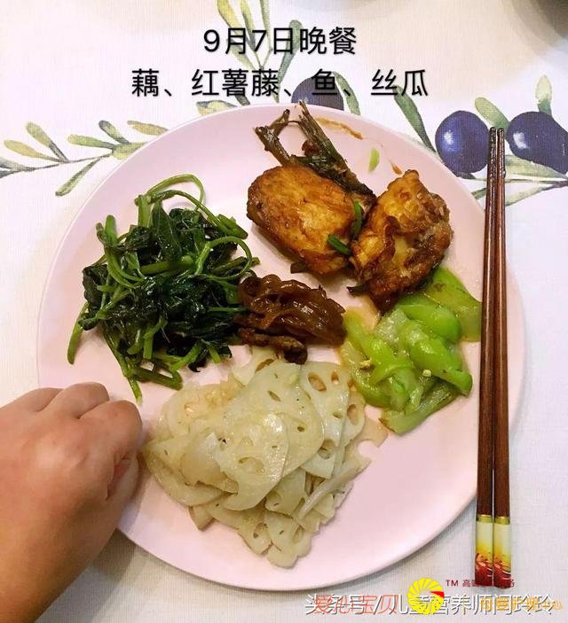 �������������ǵ�12�죺һ�����ͼ��˶�ȫ��¼