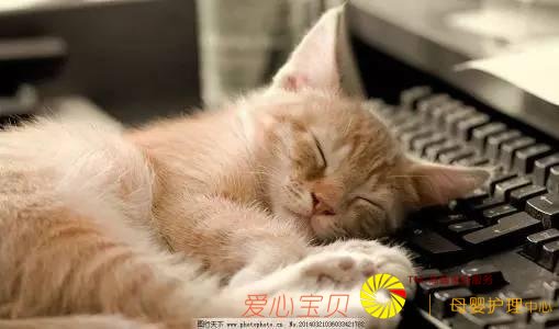 ���ݺ�ϰ�ߣ�һ�����ҲŲ���������