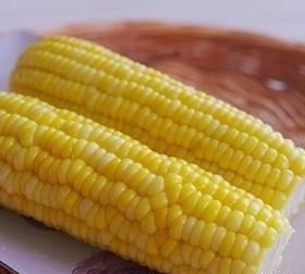 ��������Ů����������ʮ������ʳ���������