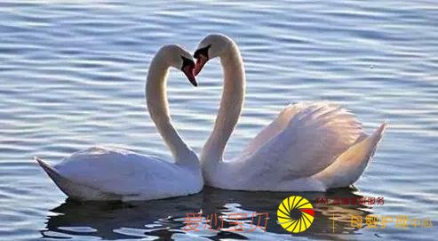 ������ҵ��ͨ���ɴ�ȫ