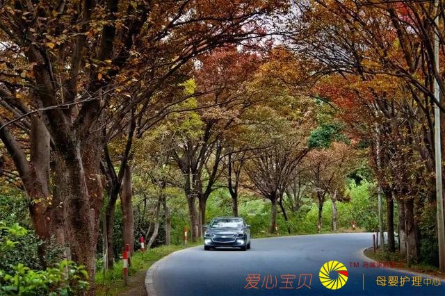 ��С�յ����Ǵ��룡�ϰټ�Ӱ�ӹ�˾ע������ֽ���涼�������ˣ���������