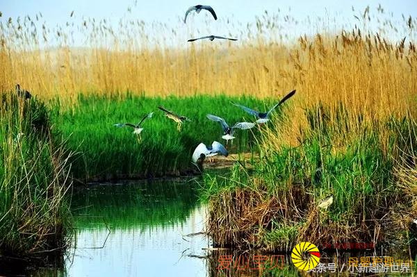 ���������͵��ĳ��У���һ��5A�����ξ�������ûȥ����ȥ����