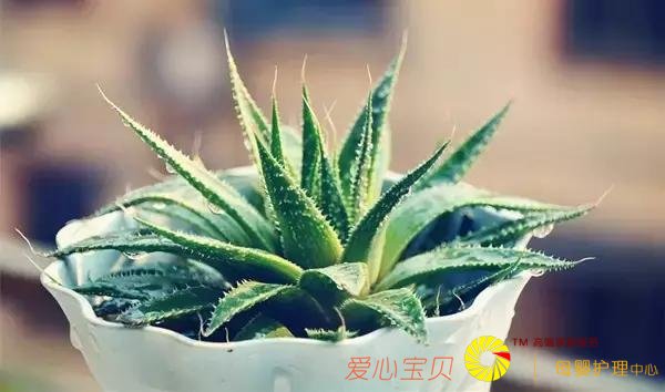 «�����ڼ��ﲻ�������¿���������Ϊ���˴������ݡ������ܶ�ô�