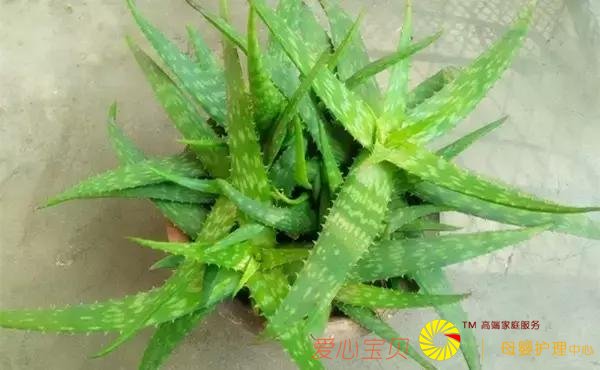 «�����ڼ��ﲻ�������¿���������Ϊ���˴������ݡ������ܶ�ô�