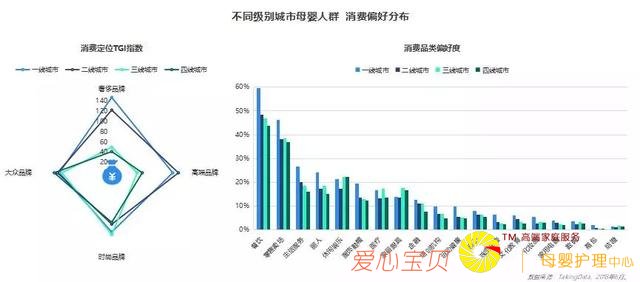 TalkingData2018ĸӤ��ҵ���챨��-ĸӤ�г�ǰ������