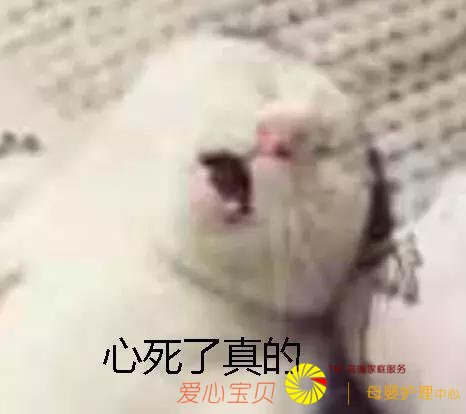 ��8�Ի��������ж���û���û�������