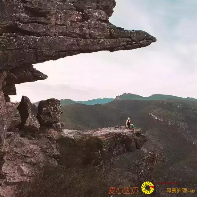 һ�������У���Щ��ʶ��Ӧ��֪����