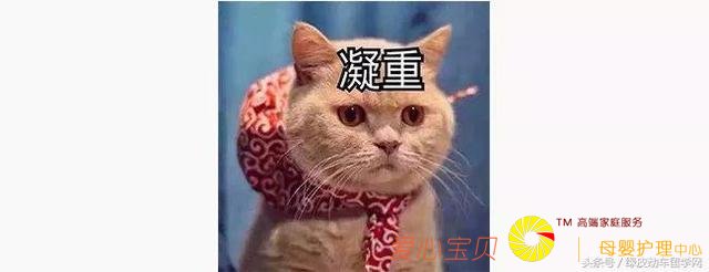 �ձ���ѧ�ع����ǰ��������Σ�