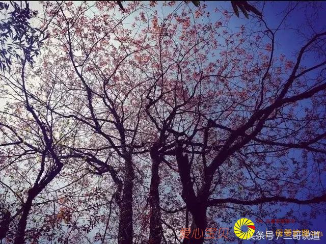 �Ĵ����δ����ҵ���Ĺ���δ����������С�������Ĺ�ɫ���㣡