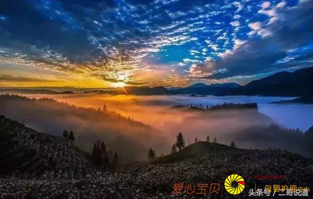 �Ĵ����δ����ҵ���Ĺ���δ����������С�������Ĺ�ɫ���㣡