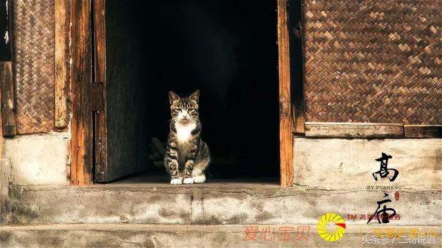 �Ĵ����δ����ҵ���Ĺ���δ����������С�������Ĺ�ɫ���㣡
