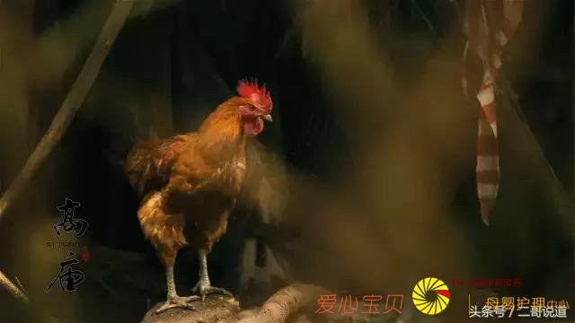 �Ĵ����δ����ҵ���Ĺ���δ����������С�������Ĺ�ɫ���㣡
