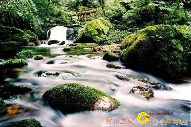 �Ĵ����δ����ҵ���Ĺ���δ����������С�������Ĺ�ɫ���㣡