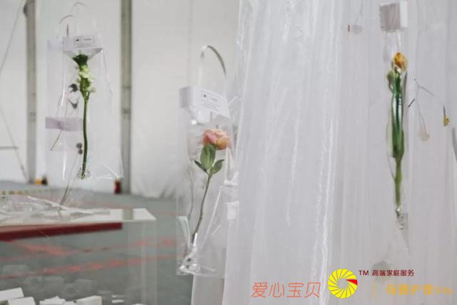 �Ϻ���ʱװ���������Ȥζ�м��������ڶ���������֮��