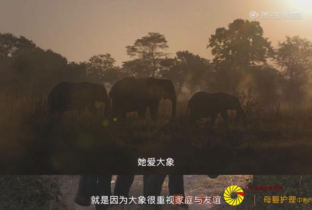 Сs������ޣ��α��͵��ݻ������⵵����9.2�ֵ����ղ���