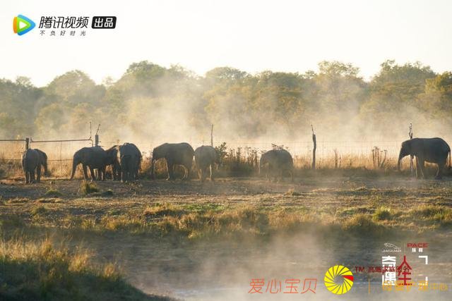 Сs������ޣ��α��͵��ݻ������⵵����9.2�ֵ����ղ���