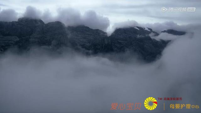 Сs������ޣ��α��͵��ݻ������⵵����9.2�ֵ����ղ���